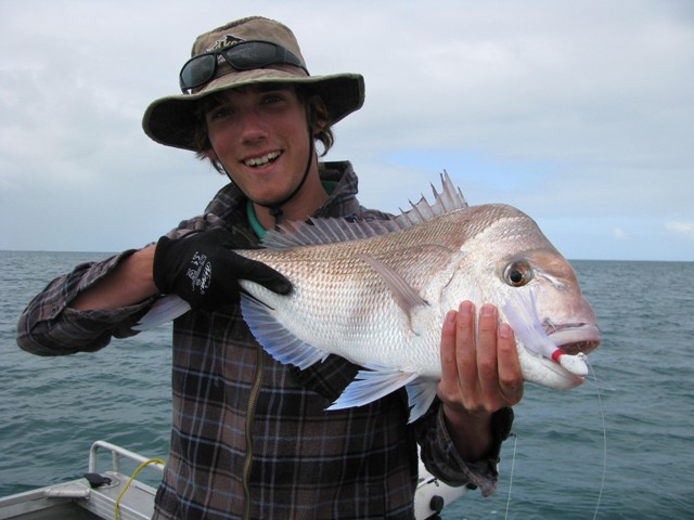 shark bay pinky on a jig